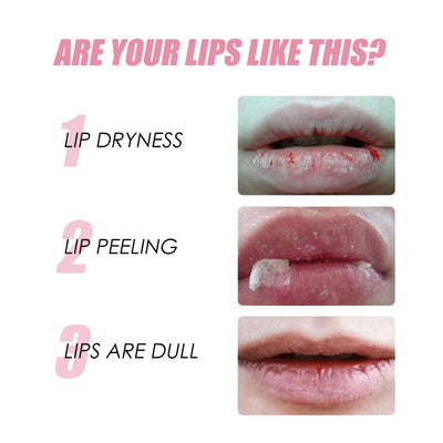 Honey Moisturizing Lip Oil Fade Lip Lines mystore